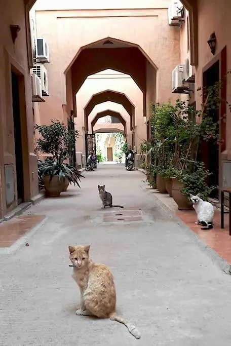 Nyaraló Riad Nekhla Marrákes
